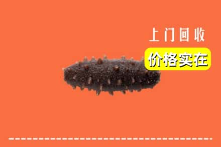 收购资讯:珠山区回收海参
