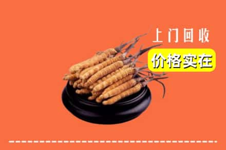 珠山区回收冬虫夏草