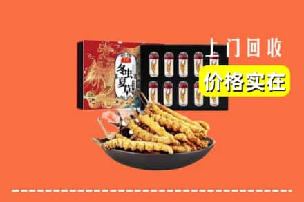 珠山区回收虫草